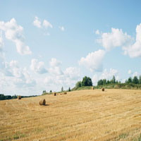 Hay Bales.